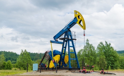 Increased reserves by more than 3 million tonnes of oil: expanded the boundaries of special permits