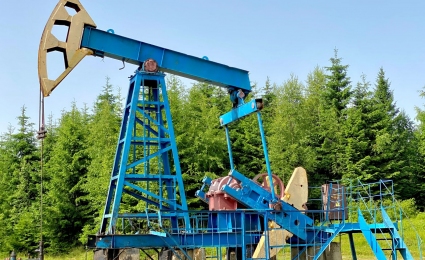 Results of 12 Months of the State Management Activities