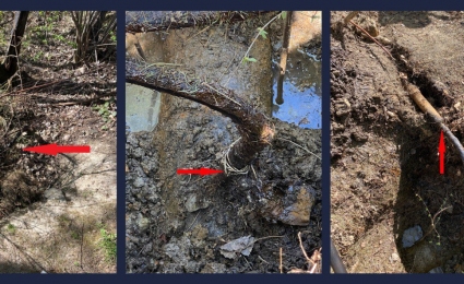 Illegal Pipeline Connections Detected and Eliminated by Ukrnafta in Prykarpattia