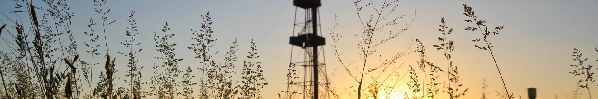 Structural unit (subsidiary)  Ukrnafta Drilling