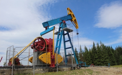 Ukrnafta Boosts Reserves by 100,000 Tons of Oil with New Special Permit